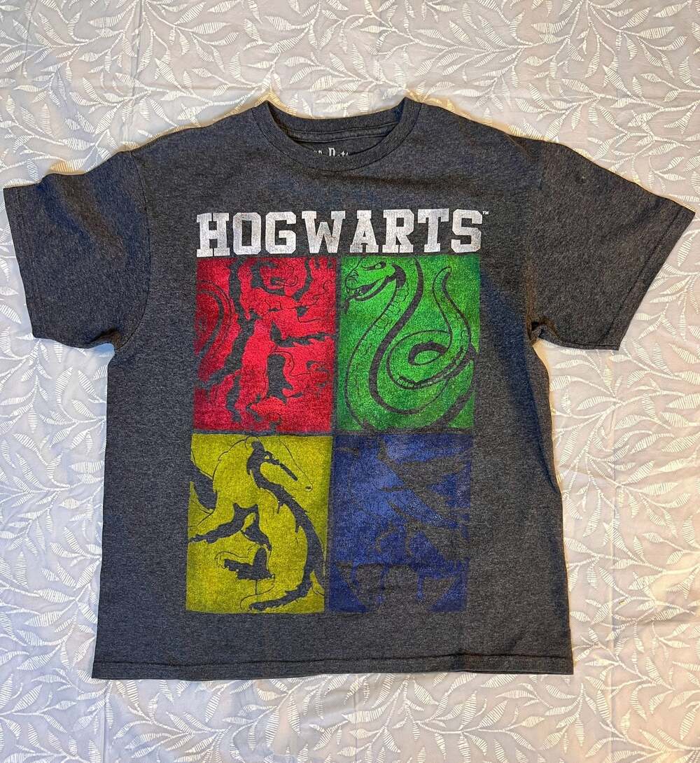Harry Potter Hogwarts 4 Houses Graphic T-Shirt Charcoal Gray Size Large